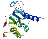 GC-Rich Sequence DNA Binding Factor 1 (GCFC1)