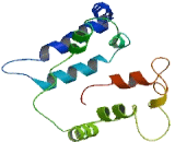 GDNF Family Receptor Alpha Like Protein (GFRaL)