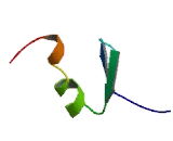 GDNF Inducible Zinc Finger Protein 1 (GZF1)