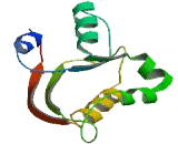 GH3 Domain Containing Protein (GHDC)