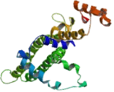 GLE1 RNA Export Mediator Like Protein (GLE1L)