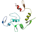 GLI Family Zinc Finger Protein 2 (GLI2)