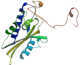 GLI Pathogenesis Related 1 Like Protein 1 (GLIPR1L1)