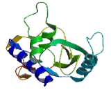 GLI Pathogenesis Related Protein 1 (GLIPR1)