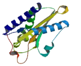 GLI Pathogenesis Related Protein 2 (GLIPR2)