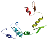 GLIS Family Zinc Finger Protein 3 (GLIS3)