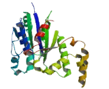 GPN Loop GTPase 3 (GPN3)