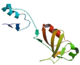 GRAM Domain Containing Protein 2 (GRAMD2)