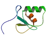 GRB10 Interacting GYF Protein 2 (GIGYF2)