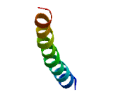 Myocardial Zonula Adherens Protein (MYZAP)