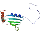 GSK3 Beta Interaction Protein (GSKIP)