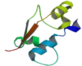 GTF2I Repeat Domain Containing Protein 1 (GTF2IRD1)