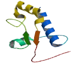 GTF2I Repeat Domain Containing Protein 2B (GTF2IRD2B)