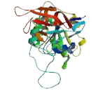 GTP Binding Protein 1 (GTPBP1)