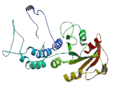 GTP Binding Protein 6 (GTPBP6)