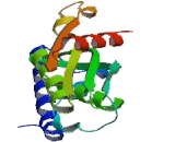 GTP Cyclohydrolase 1 (GCH1)