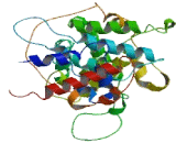 GTPase Activating Protein And VPS9 Domains 1 (GAPVD1)