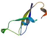 GTPase Activating Protein SH3 Domain Binding Protein 2 (G3BP2)