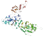 GTPase Activating Rap/Ran GAP Domain Like Protein 3 (GARNL3)