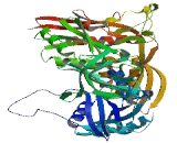 GUF1 GTPase Homolog (GUF1)