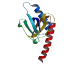 GULP, Engulfment Adaptor PTB Domain Containing Protein 1 (GULP1)