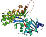 Galactokinase 2 (GALK2)