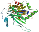 Galactose-1-Phosphate Uridylyltransferase (GALT)