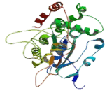 Galactose-3-O-Sulfotransferase 2 (GAL3ST2)