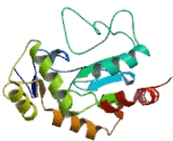 Galactose-3-O-Sulfotransferase 3 (GAL3ST3)