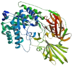 Galactosidase Beta 1 Like Protein 3 (GLb1L3)