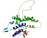 Galanin Receptor 1 (GALR1)