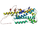 Galanin Receptor 4 (GALR4)