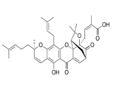 Gambogic Acid (GA)