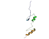 Gametogenetin Binding Protein 2 (GGNBP2)