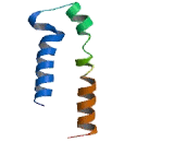 Gamma-Aminobutyric Acid A Receptor Alpha 2 (gABRa2)