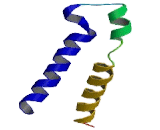 Gamma-Aminobutyric Acid A Receptor Alpha 4 (gABRa4)