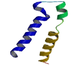 Gamma-Aminobutyric Acid A Receptor Alpha 6 (gABRa6)