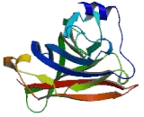 Gamma-Aminobutyric Acid A Receptor Beta 1 (gABRb1)