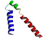 Gamma-Aminobutyric Acid A Receptor Epsilon (gABRe)