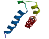 Gamma-Aminobutyric Acid A Receptor Gamma 1 (gABRg1)