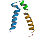 Gamma-Aminobutyric Acid A Receptor Rho 1 (gABRr1)