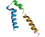 Gamma-Aminobutyric Acid A Receptor Rho 2 (gABRr2)