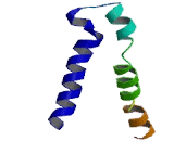 Gamma-Aminobutyric Acid A Receptor Rho 3 (gABRr3)