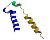 Gamma-Aminobutyric Acid A Receptor Theta (gABRq)