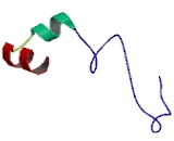 Gamma-Aminobutyric Acid Transporter 1 (gAT1)