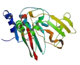 Gamma-Butyrobetaine Hydroxylase (gBBH)