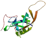 Gamma-Glutamylamine Cyclotransferase (gGACT)