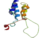 Gamma-Glutamyltransferase 6 (gGT6)