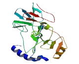 Gamma-Glutamyltransferase Light Chain 1 (gGTLC1)