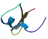 Gamma-Glutamyltransferase Light Chain 2 (gGTLC2)